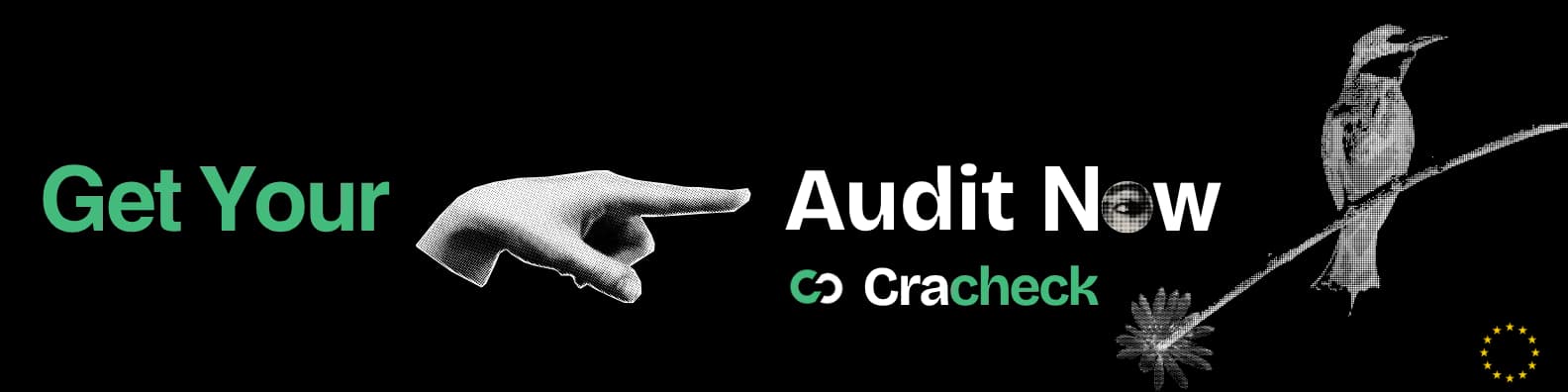 Get your CRA audit now
